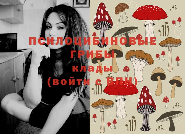 метадон Каменка