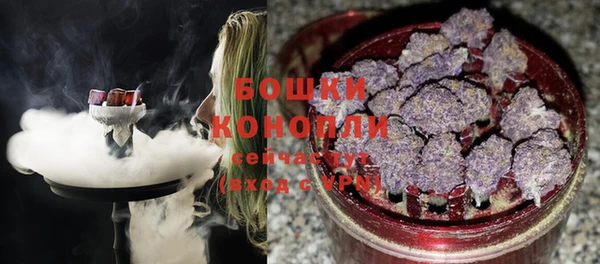 соль ск Каменногорск
