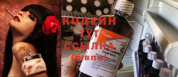 соль ск Каменногорск