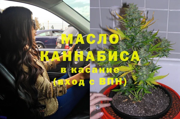 метадон Каменка