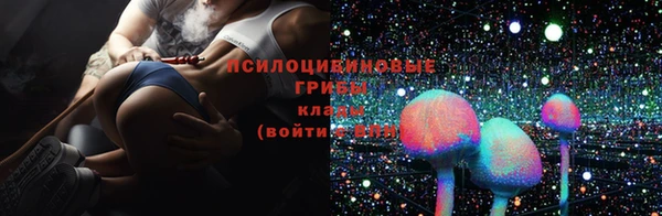 соль ск Каменногорск