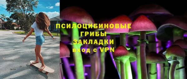 метадон Каменка