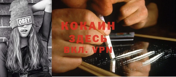 метадон Каменка