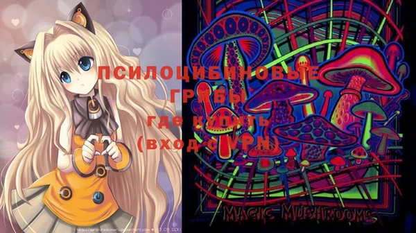 метадон Каменка