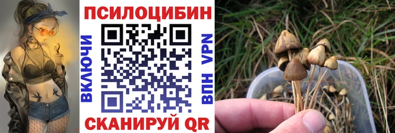 Псилоцибиновые грибы прущие грибы Нововоронеж